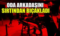 Oda Arkadaşını Sırtından Bıçakladı