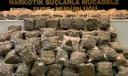 Adana'da 166 kilo 300 gram skunk ele geçirildi