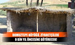 Domuztepe Höyüğü, Ziyaretçileri 8 Bin Yıl Öncesine Götürecek!