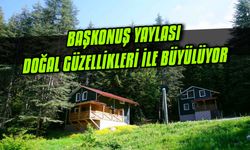 Başkonuş Yaylası, doğal güzellikleri ile büyülüyor