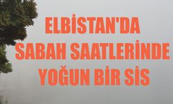 Elbistan'da Sabah Saatlerinde Yoğun Bir Sis