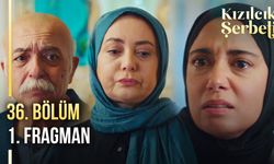 Kızılcık Şerbeti 36. Bölüm fragmanı izle!