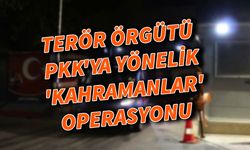 Terör örgütü PKK'ya yönelik 'kahramanlar' operasyonu