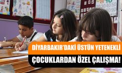 Diyarbakır’daki Üstün Yetenekli Çocuklardan Özel Çalışma!
