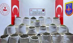 Diyarbakır'da 914 kilo uyuşturucu ele geçirildi: 2 gözaltı