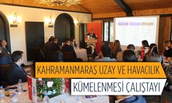 Kahramanmaraş Uzay Ve Havacılık Kümelenmesi Çalıştayı gerçekleştirildi