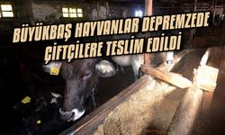 Büyükbaş hayvanlar depremzede çiftçilere teslim edildi