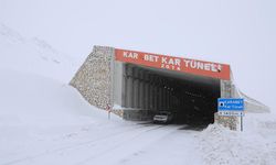 Van beyaza büründü: Kar kalınlığı 30 santimetreyi geçti