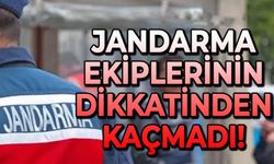 Jandarma Ekiplerinin Dikkatinden Kaçmadı