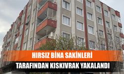 Hırsız, Bina Sakinleri Tarafından Kıskıvrak Yakalandı