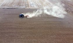 Tarımda yoğun kimyasal kullanımı toprağa zarar veriyor