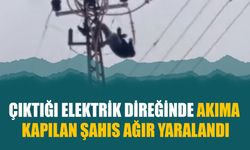 Çıktığı Elektrik Direğinde Akıma Kapılan Şahıs Ağır Yaralandı