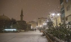 Erzurum, Kars ve Ardahan'da kar yağışı