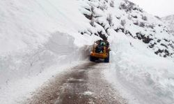 Hakkari'de 2 köyün yolu çığ nedeniyle kapandı