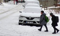 Bitlis ve Van'da eğitime kar engeli