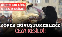 12 kişiye 83 bin 400 lira ceza kesildi!