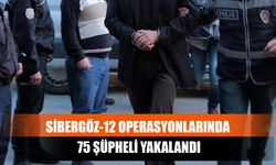 Sibergöz-12 Operasyonlarında 75 Şüpheli Yakalandı