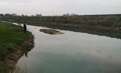 Kırmızı akan Berdan Nehri normale döndü