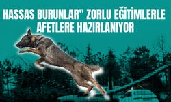 Hassas Burunlar" Zorlu Eğitimlerle Afetlere Hazırlanıyor