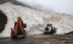 Hakkari-Çukurca kara yoluna çığ düştü