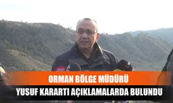 Orman Bölge Müdürü Yusuf Karartı Açıklamalarda Bulundu