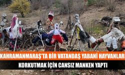 Kahramanmaraş'ta bir vatandaş yabani hayvanları korkutmak için cansız manken yaptı