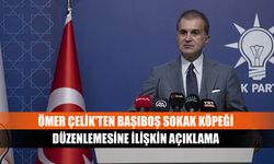 Ömer Çelik'ten başıboş sokak köpeği düzenlemesine ilişkin açıklama