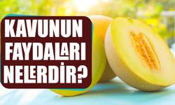 Kavunun Faydaları Nelerdir?