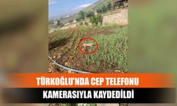 Türkoğlu’nda Cep Telefonu Kamerasıyla Kaydedildi