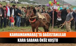 Kahramanmaraş’ta Dağıstanlılar kara sabana öküz koştu