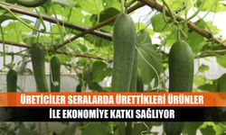 Üreticiler seralarda ürettikleri ürünler ile ekonomiye katkı sağlıyor