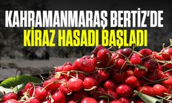 Kahramanmaraş Bertiz'de Kiraz Hasadı Başladı