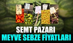 Onikişubat İlçesi Semt Pazarı Meyve Sebze Fiyatları