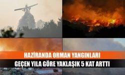 Haziranda orman yangınları geçen yıla göre yaklaşık 5 kat arttı