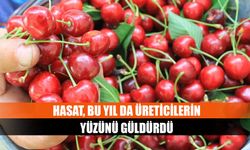 Hasat, bu yıl da üreticilerin yüzünü güldürdü