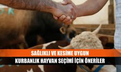 Sağlıklı ve kesime uygun kurbanlık hayvan seçimi için öneriler