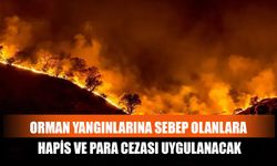 Orman Yangınlarına Sebep Olanlara Hapis Ve Para Cezası Uygulanacak