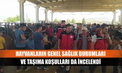 Hayvanların genel sağlık durumları ve taşıma koşulları da incelendi