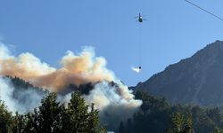 Kahramanmaraş'ta çıkan orman yangını kontrol altına alındı