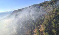İzmir ve Denizli'de orman yangınlarına müdahale sürüyor