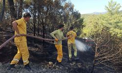 Muğla'nın Milas ilçesinde çıkan orman yangını kontrol altında