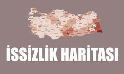 Türkiye'de il il istihdam verisi yayınlandı: En düşük işsizlik Sinop'ta