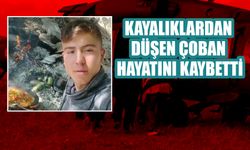 Kayalıklardan Düşen Çoban Hayatını Kaybetti