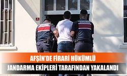 Afşin’de Firari Hükümlü Jandarma Ekipleri Tarafından Yakalandı