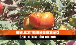 Hem lezzetiyle hem de besleyici özellikleriyle öne çıkıyor