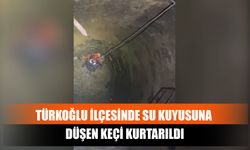 Türkoğlu İlçesinde Su Kuyusuna Düşen Keçi Kurtarıldı