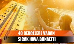 40 Dercelere Varan Sıcak Hava Bunalttı