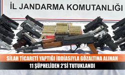 Silah ticareti yaptığı iddiasıyla gözaltına alınan 11 şüpheliden 2'si tutuklandı