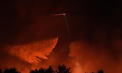 İzmir'de ormanlık alanlarda çıkan yangınlara müdahale ediliyor