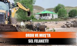 Ordu ve Muş'ta Sel Felaketi!